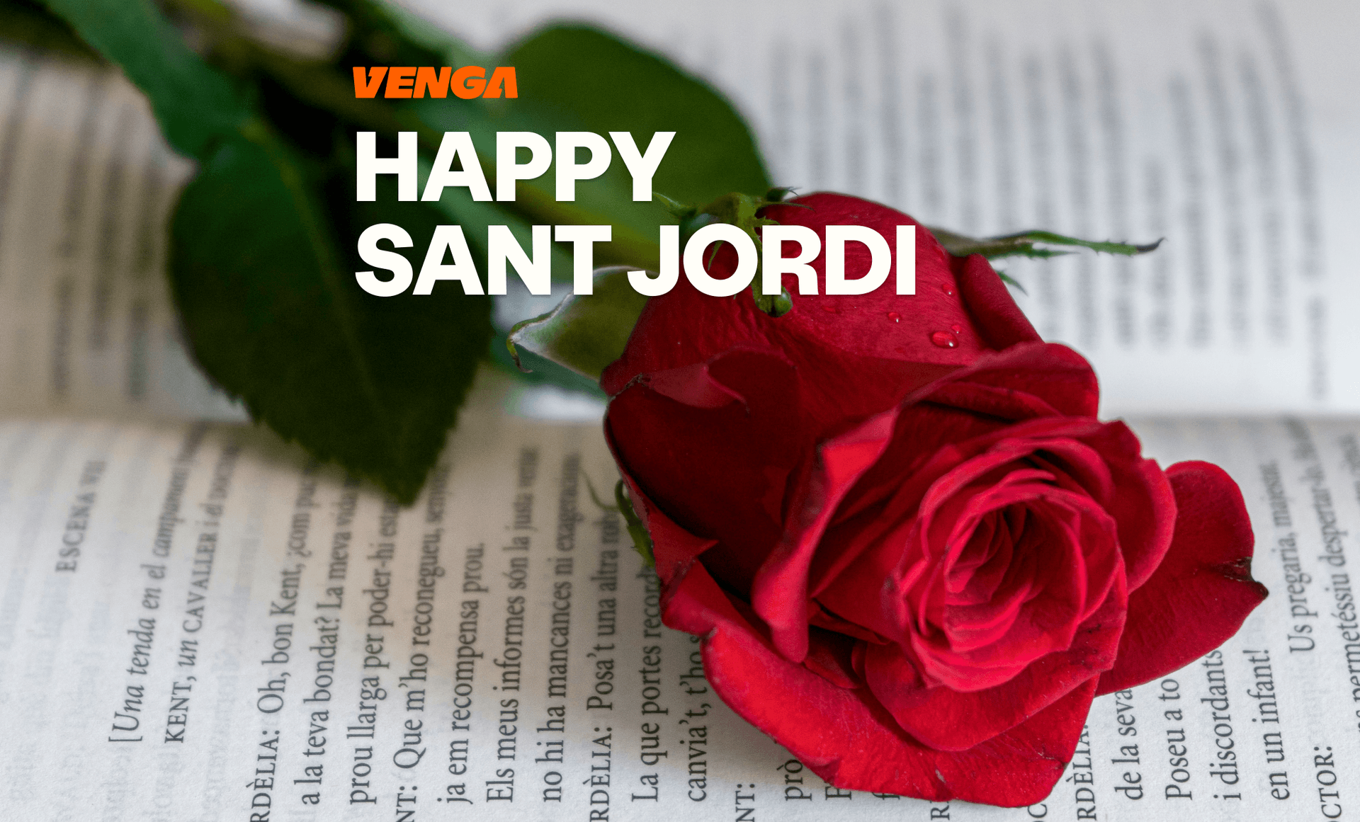 Celebrating Sant Jordi the Venga Way