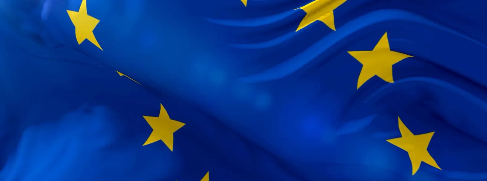 Euro flag