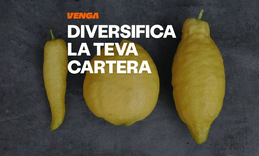 Diversificació de cartera: com funciona en la pràctica