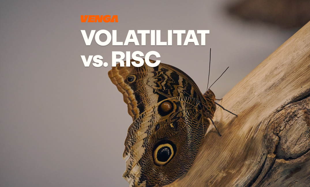 Volatilitat vs risc: diferències per a l'inversor