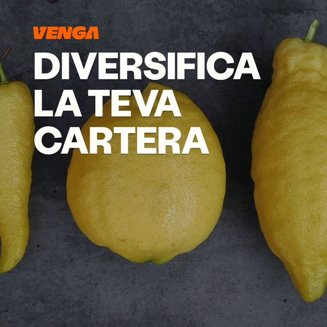 Imagen de: Diversificació de cartera: com funciona en la pràctica