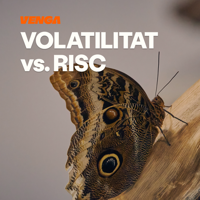 Imagen de: Volatilitat vs risc: diferències per a l'inversor