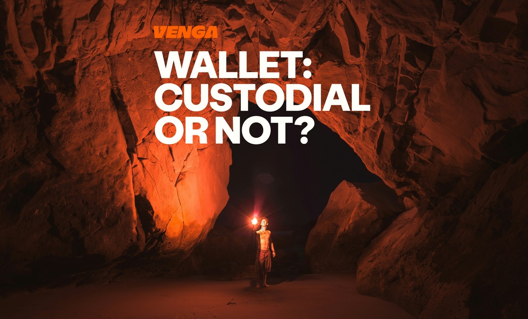 Custodial vs Non-Custodial Wallets