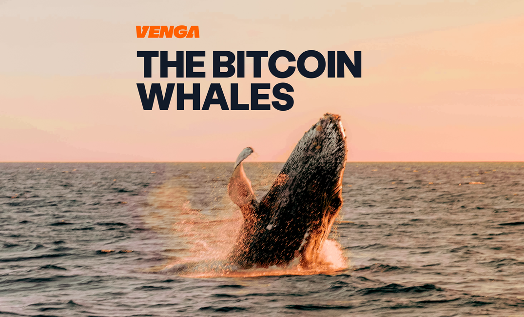 Who Are Bitcoin Whales and Why Do They Matter?