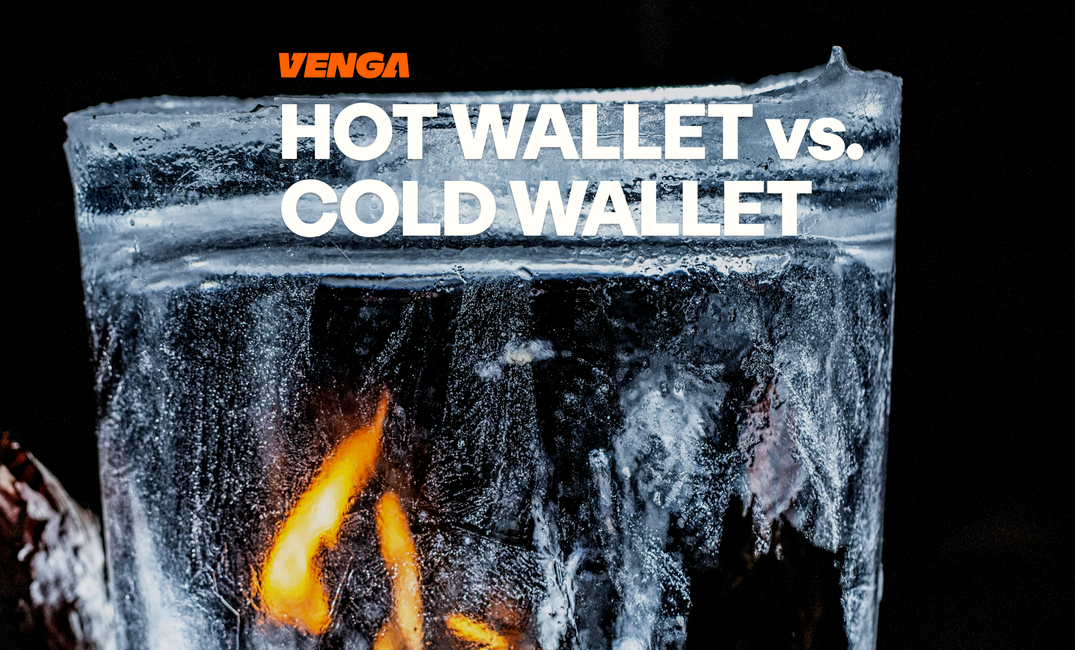 Hot Wallet vs. Cold Wallet: Which Crypto Storage Solution Fits Your Needs?