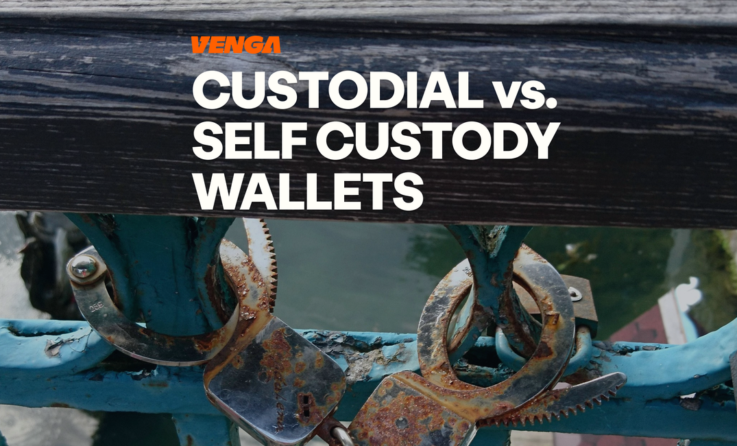 Custodial vs Self-Custody Wallets: How to Store Stablecoins Safely