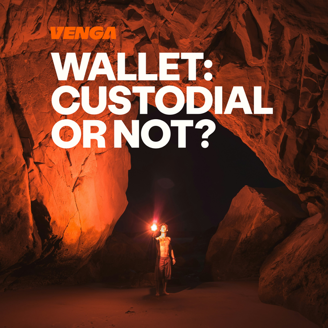 Image of: Custodial vs Non-Custodial Wallets