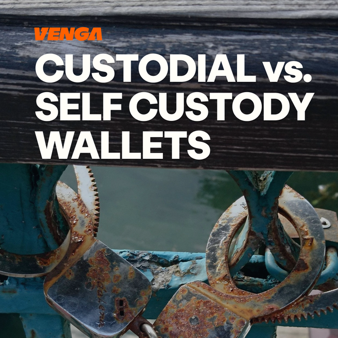 Image of: Custodial vs Self-Custody Wallets: How to Store Stablecoins Safely