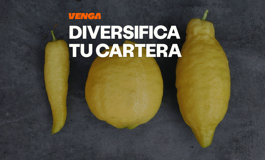 Diversificación de cartera: cómo funciona en la práctica