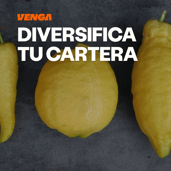 Imagen de: Diversificación de cartera: cómo funciona en la práctica